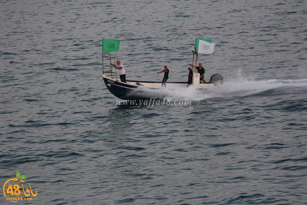 iste3rad sayaden yaffa (15).JPG